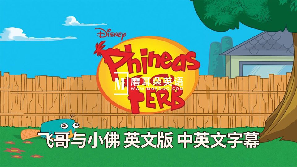 Phineas and Ferb 飞哥与小佛 图片1