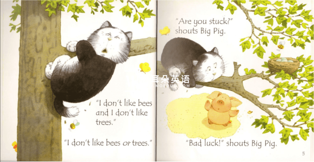 Usborne 斯伯恩自然拼读 图片15