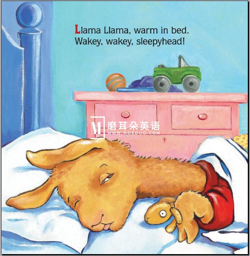 Llama Llama 图片7