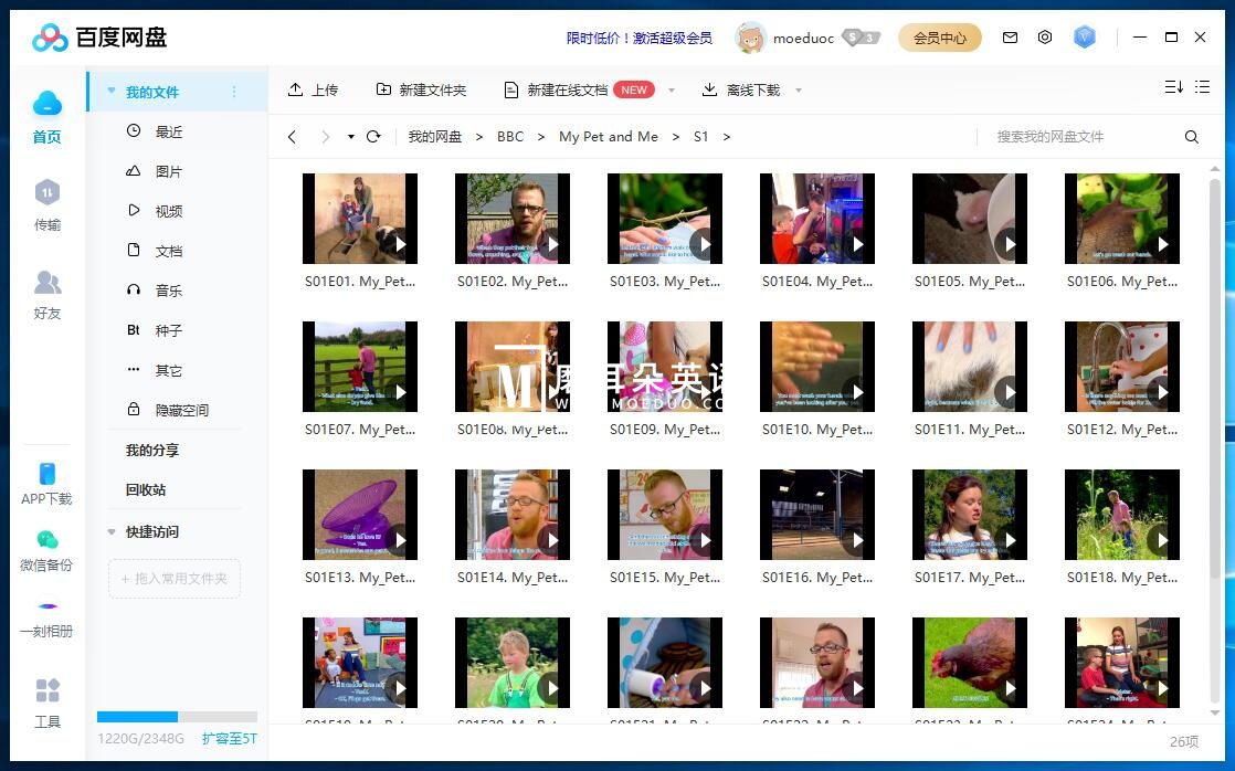 My Pet and Me 图片7