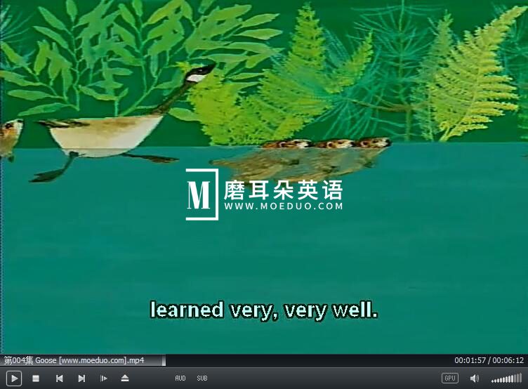 图片11