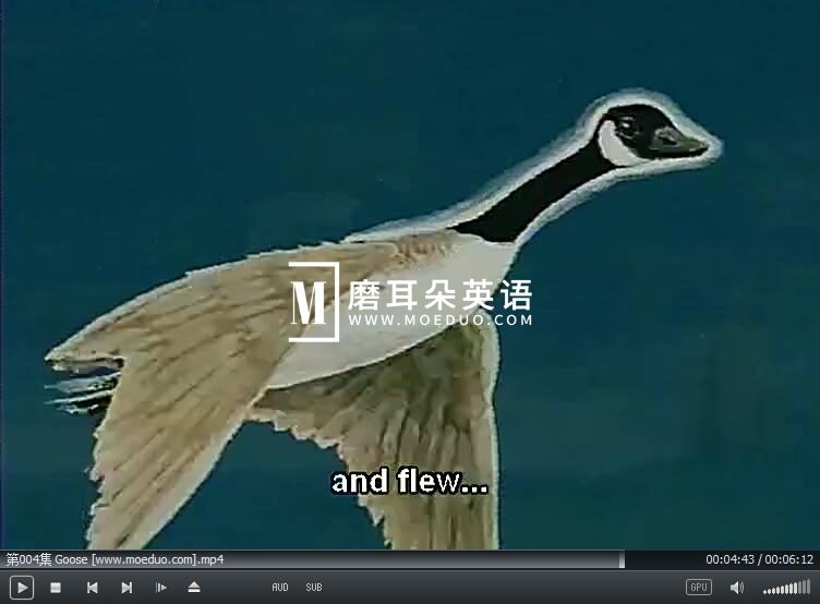 图片13