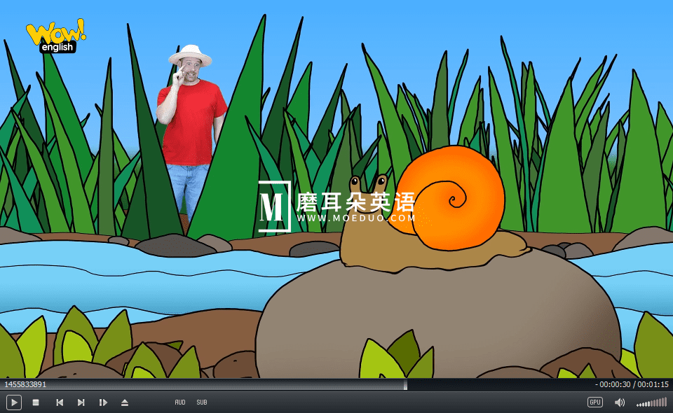 Wow English TV 图片13