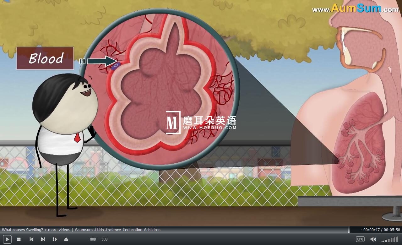 It's AumSum Time 图片3