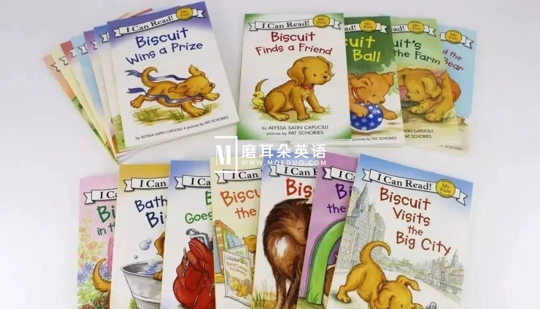 Biscuit 饼干狗 图片3