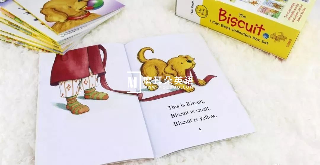 Biscuit 饼干狗 图片7