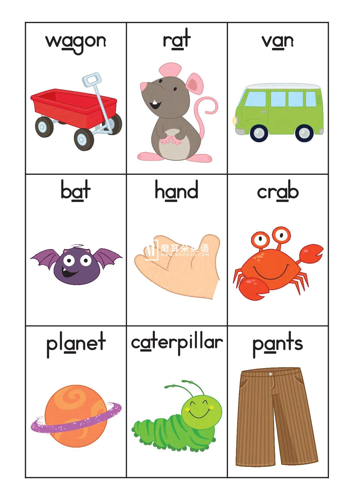 Phonics Letter of the week 图片35