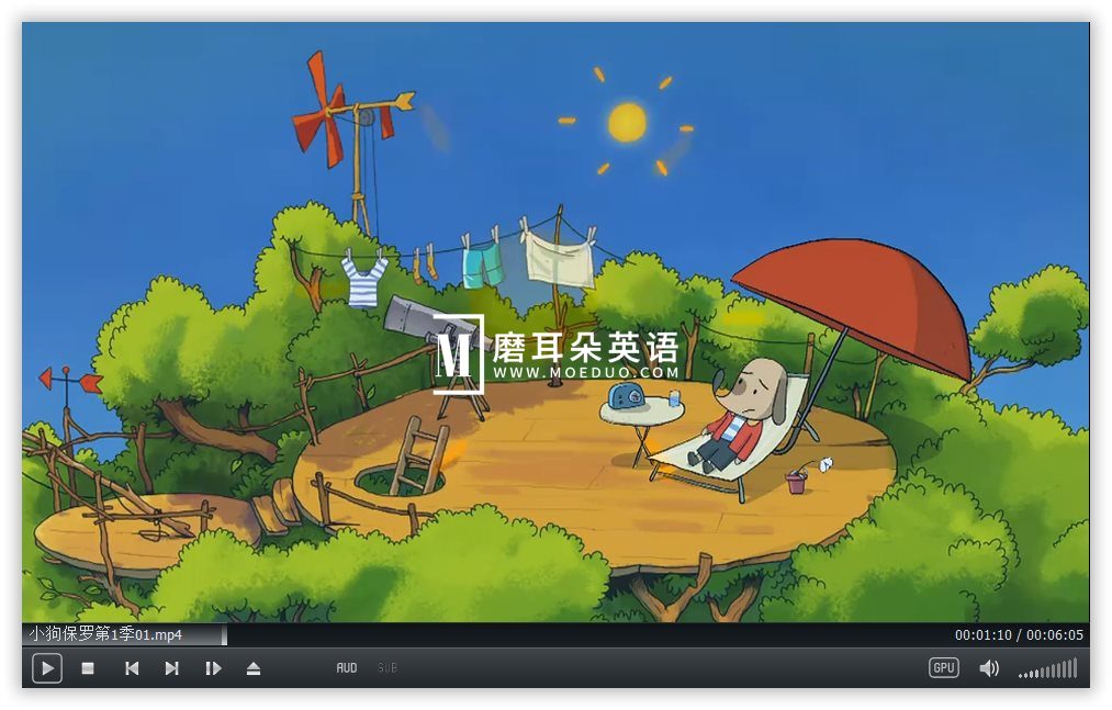 Polo 小狗保罗 图片7