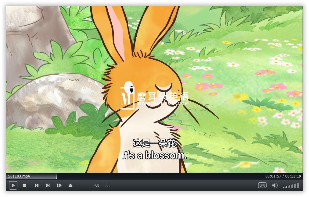 Guess How Much I Love You 猜猜我有多爱你 图片13