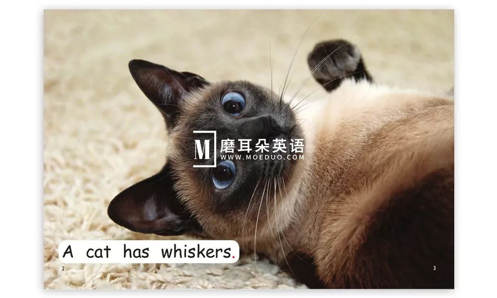 红火箭分级绘本 红火箭分级阅读绘本 图片31