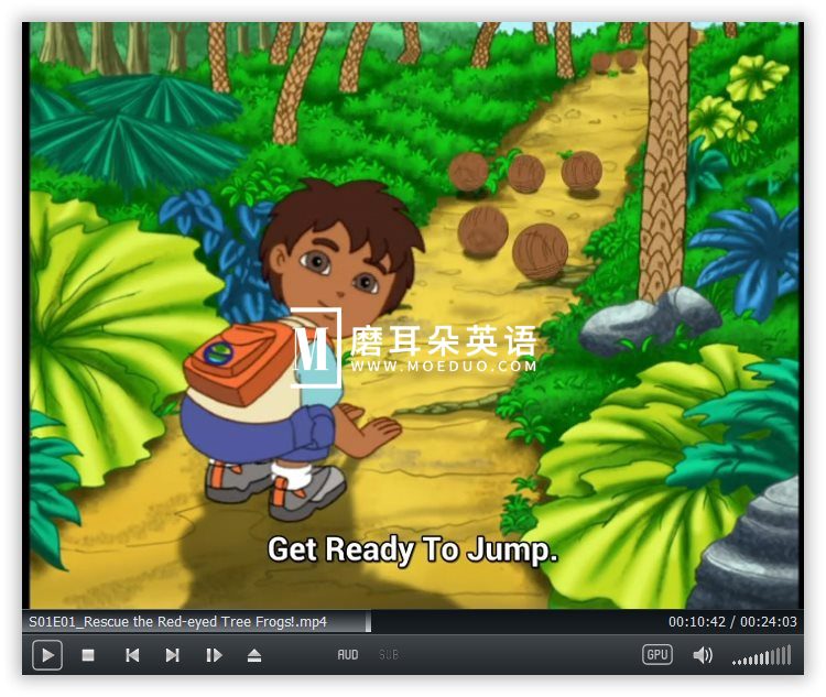 Go Diego Go 出发吧!迪亚哥 图片9