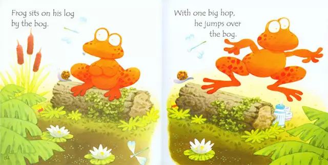 Usborne 斯伯恩自然拼读 图片11