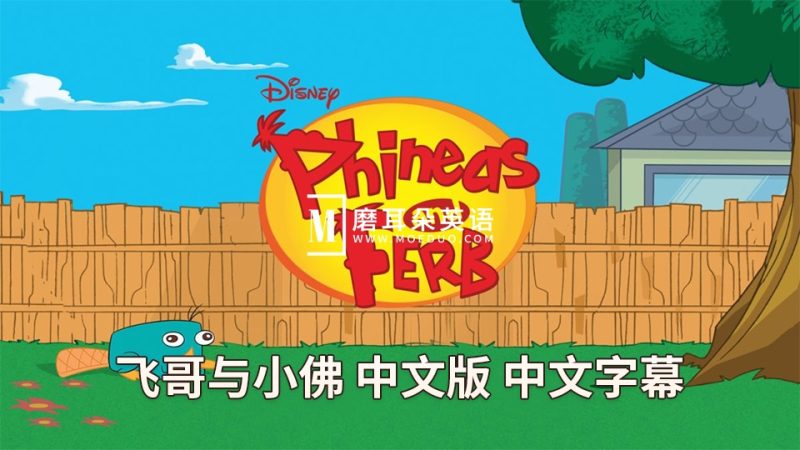 中文版动画片《飞哥与小佛Phineas and Ferb》全1-4季共136集，高清视频带中文字幕，百度网盘下载！-磨耳朵英语