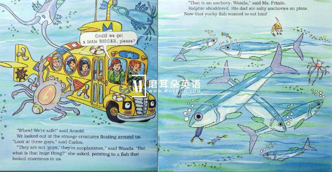 神奇校车 图片7