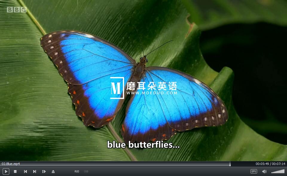 BBC Colours 图片12 BBC Colours 图片11